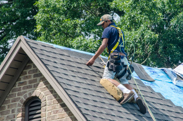 Best Roof Gutter Cleaning  in Fairfield Bay, AR